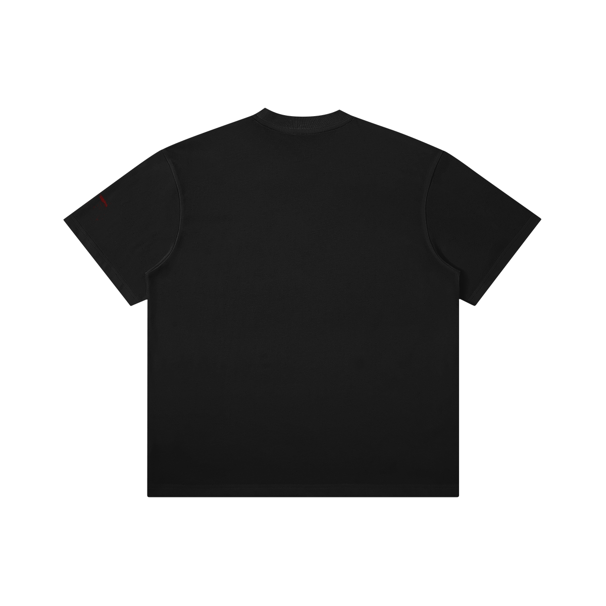 Validity Lost Essences "Dirty Diana" 280GSM Unisex Raw Seam Paneled Boxy T-shirt