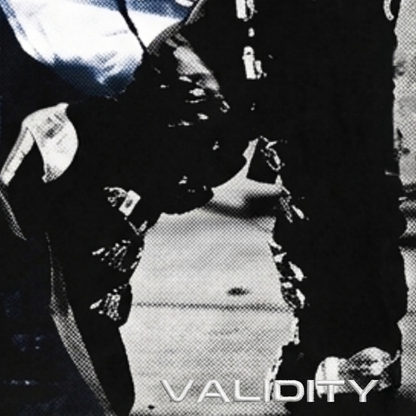 Validity Lost Essences "Dirty Diana" 280GSM Unisex Raw Seam Paneled Boxy T-shirt